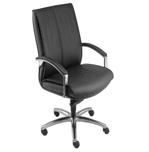Director Chair
